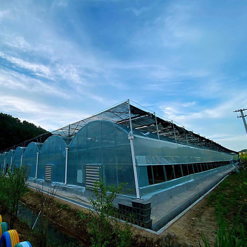 丹東溫室工程