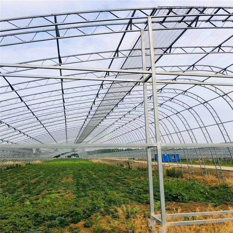 順昌大棚骨架